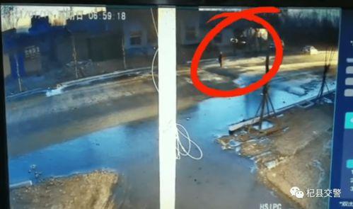 杞县当地人爆料视频最新,最新视频揭露惊人真相!