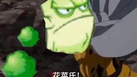 植物卡包最新爆料,奇花异草,生态宝库大揭秘