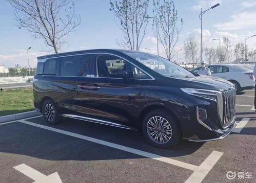 红旗最新汽车爆料,豪华配置与科技感并存,引领未来出行潮流”